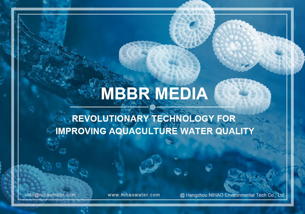 MBBR: Revolutionary Technology for Improving Aquaculture Water Quality